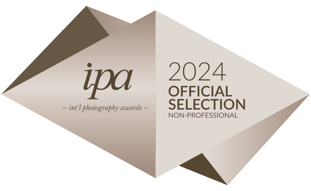 Official Selection - IPA 2024 - Image