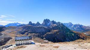 Tre Cime cow