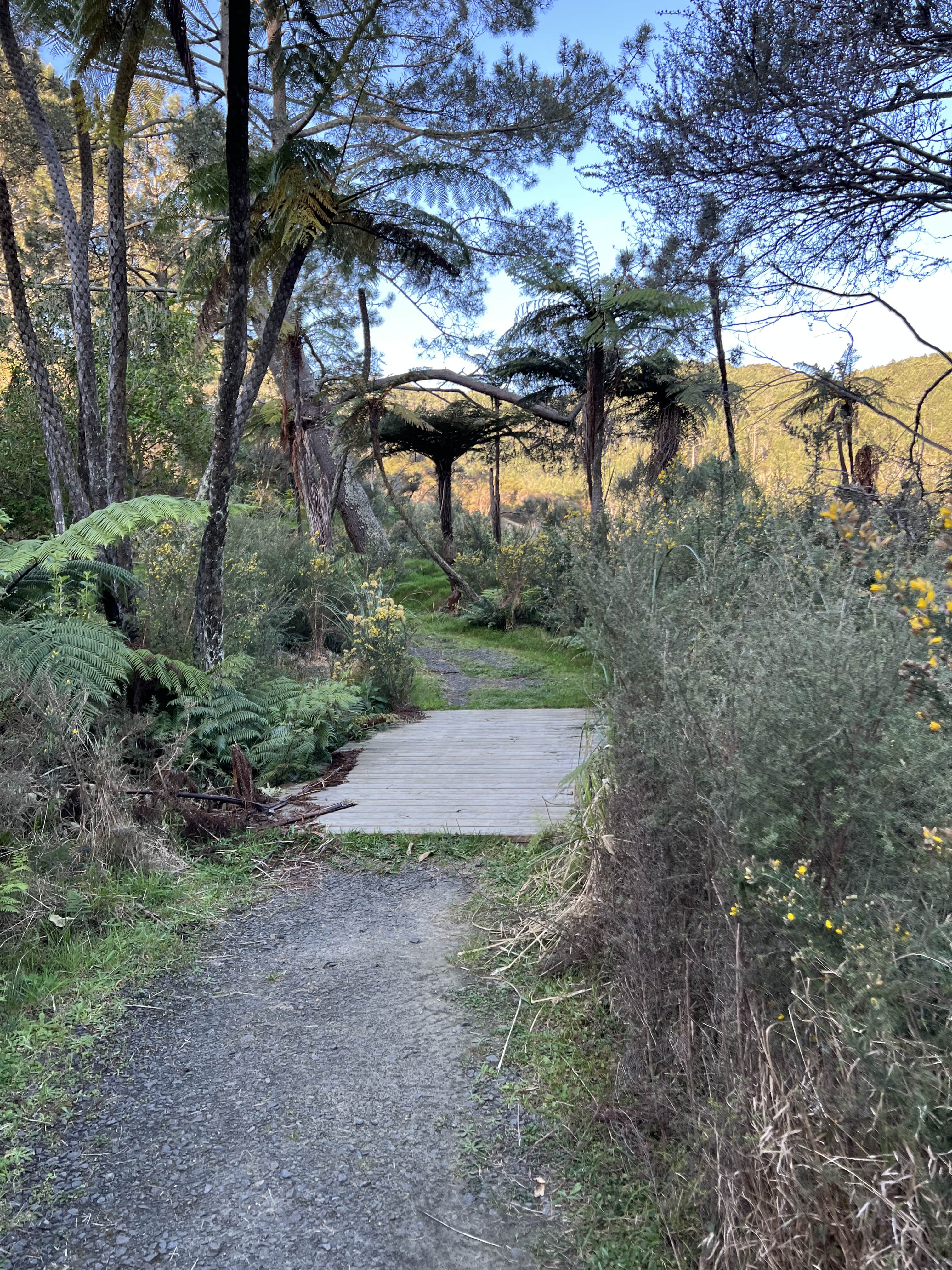 Cathedral Cove - Hike 2