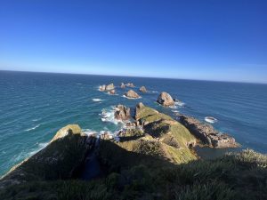 Nugget Point - Rocks