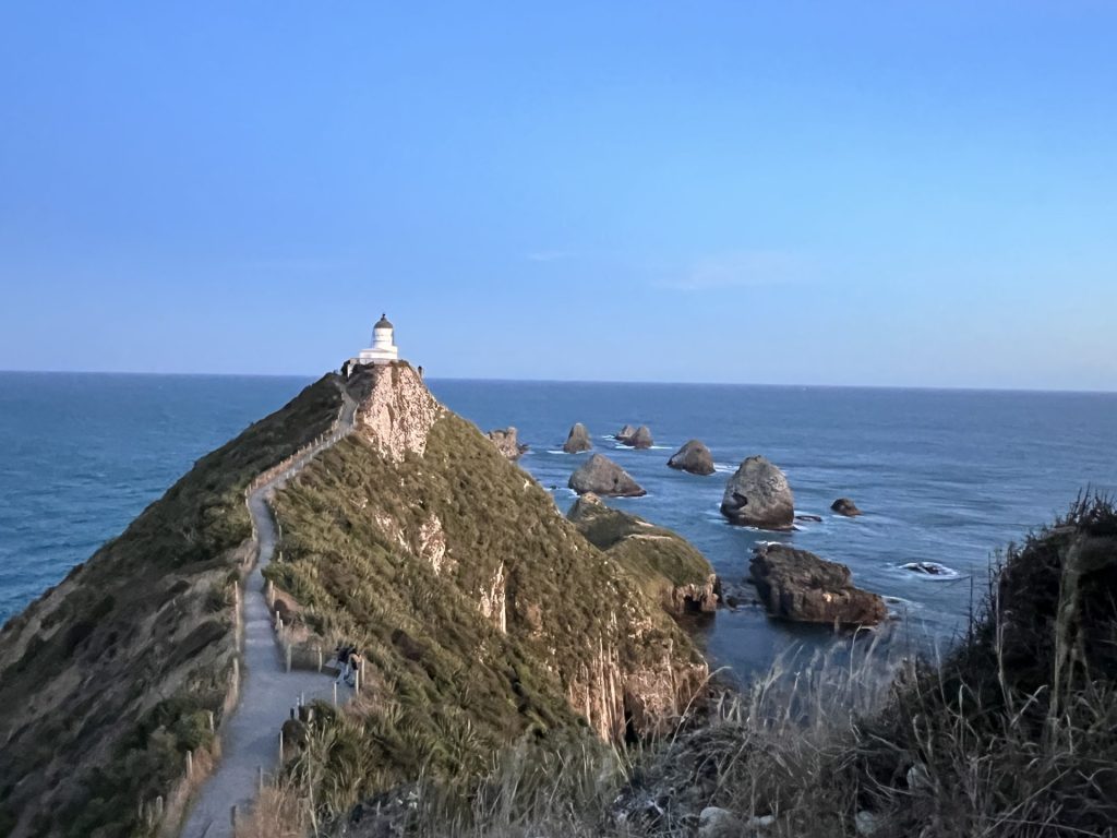 Nugget Point