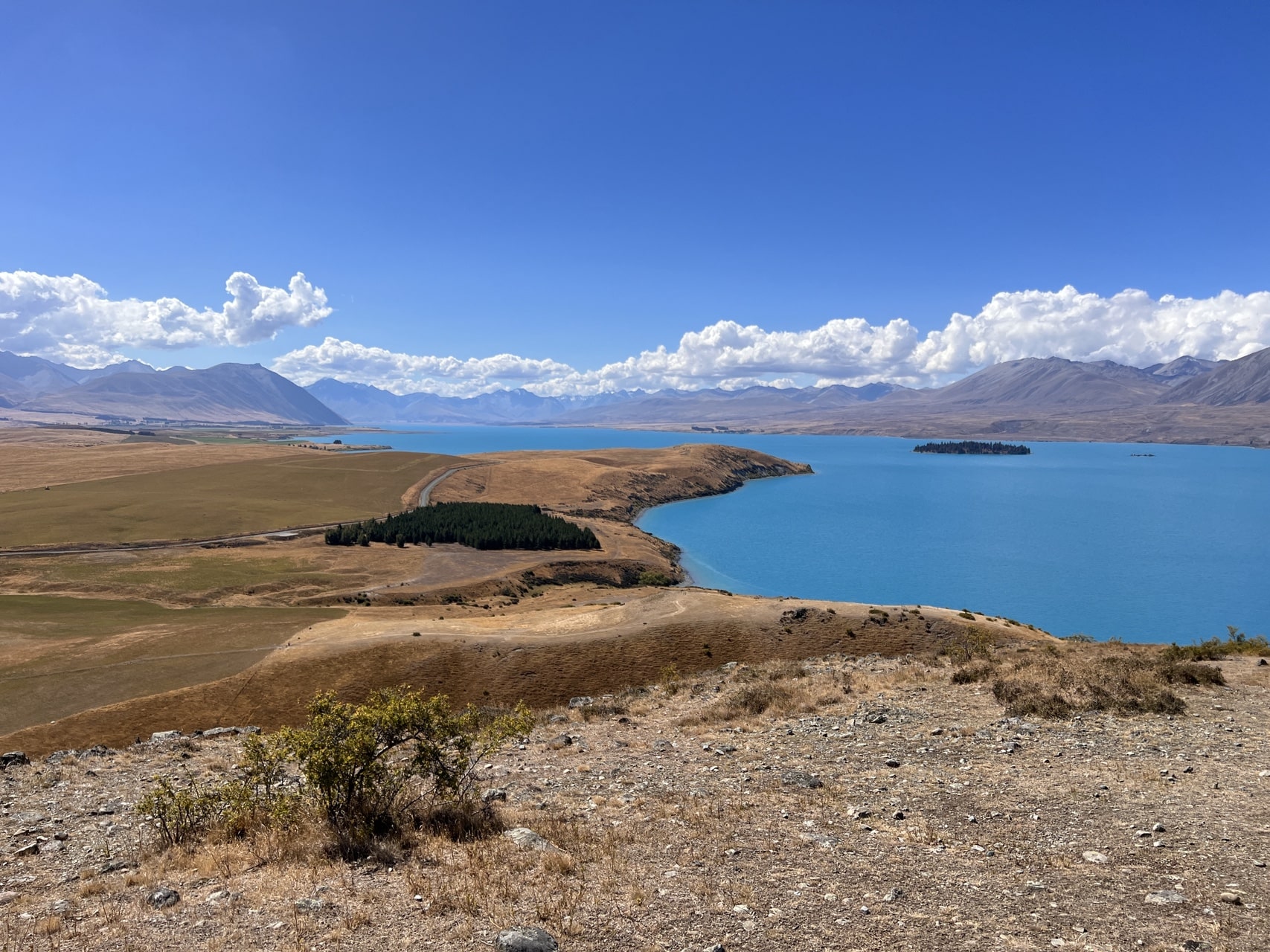 Lake Tekapo - Lake