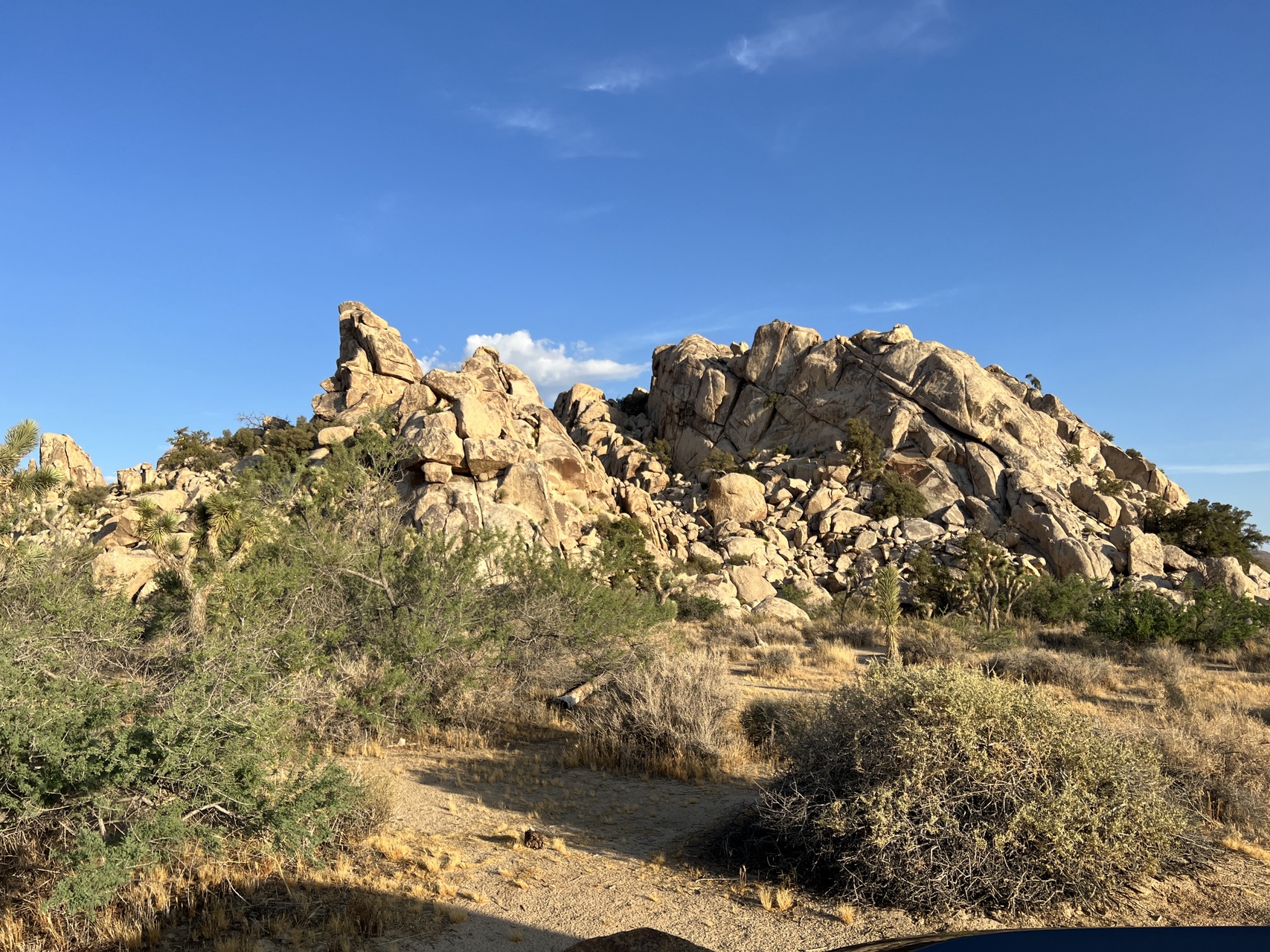 Joshua Tree National Park - Photo 2