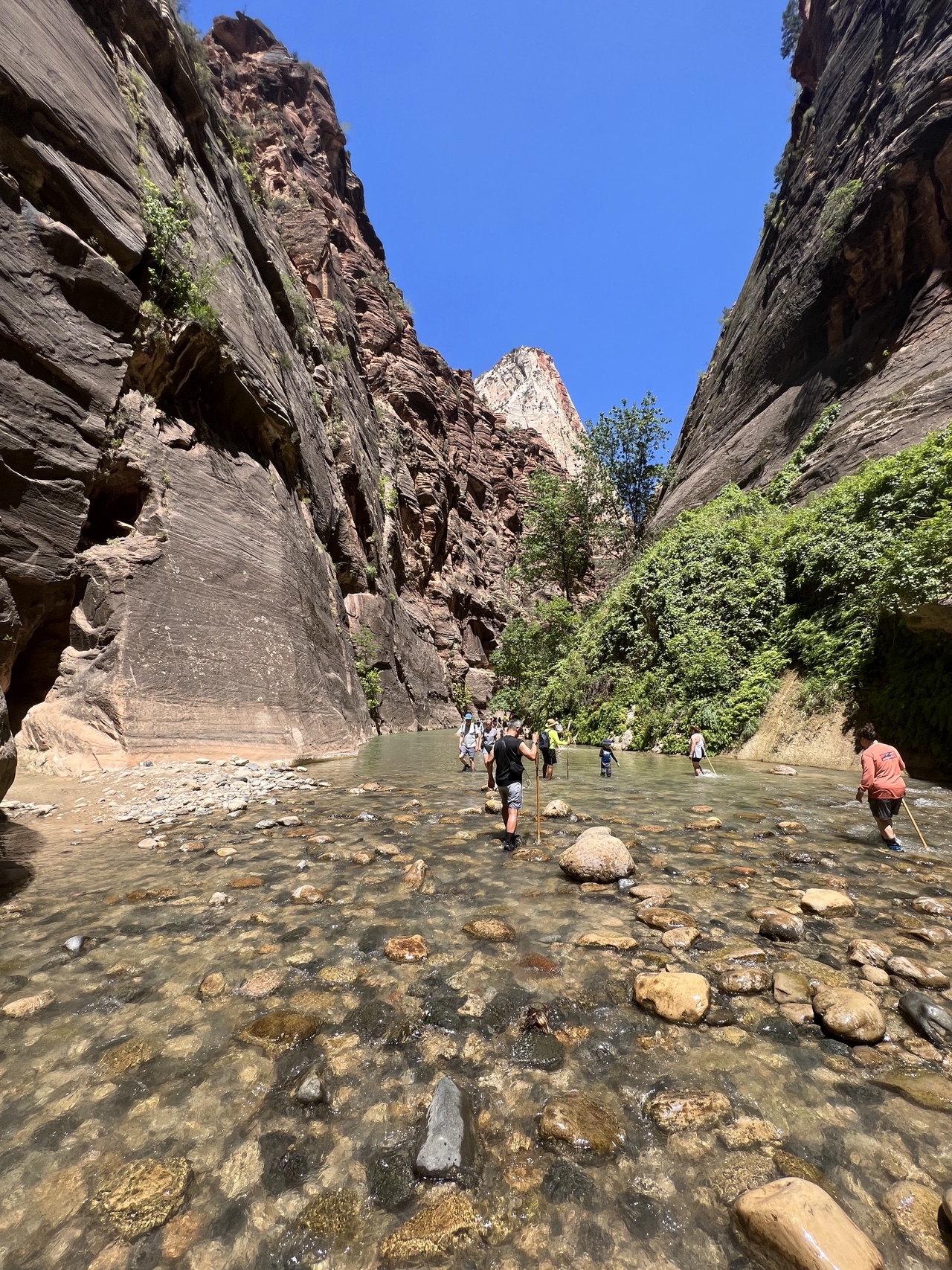 Zion - Narrows